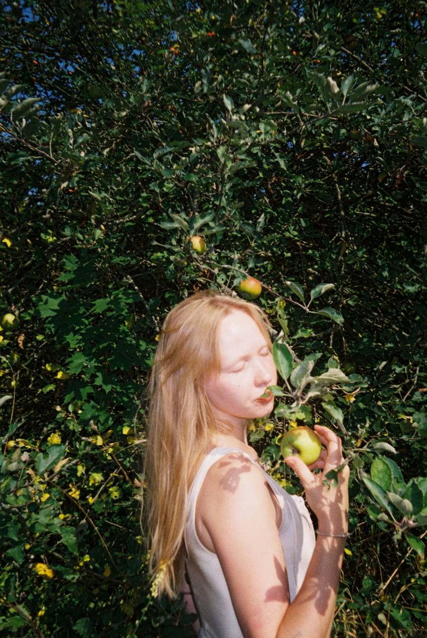 Photography — colour archive