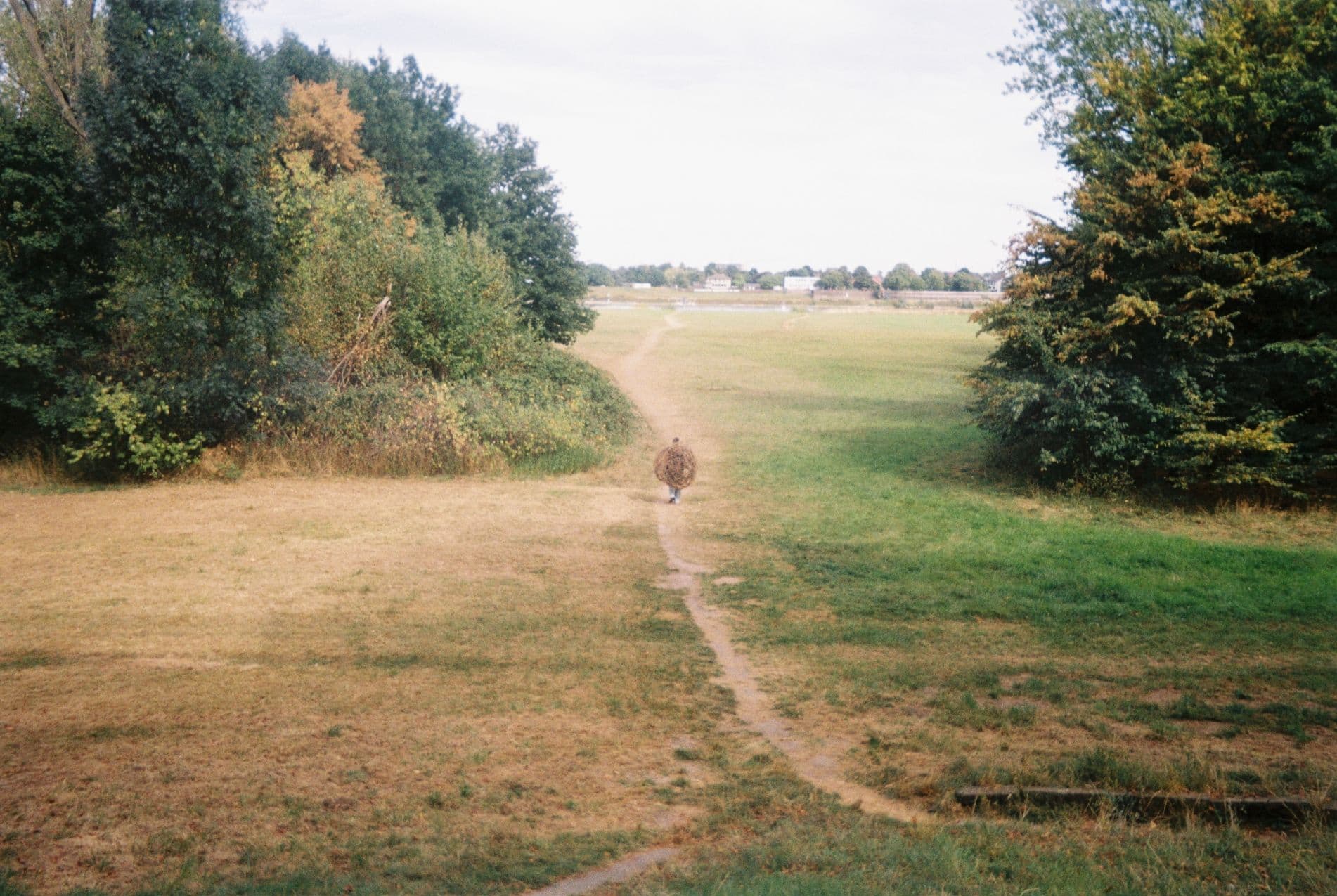 Nest, Photo documentation from performance “Nest”Analog photosmade by Anna Lunghini (5)