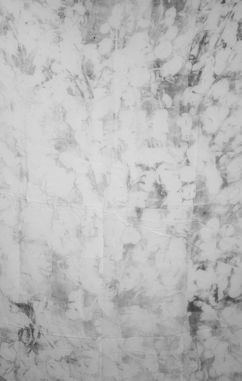 Archipelago, Paper, textile, ink, xerography, 2023-2025 (3)